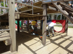 DSC00072.jpg