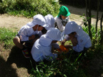 DSC00078.jpg
