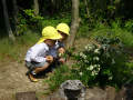 DSC00129.jpg