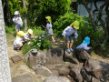 DSC00131.jpg