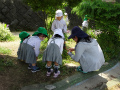 DSC00137.jpg