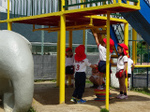 DSC00331.jpg