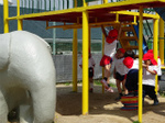DSC00333.jpg