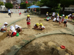 DSC00377.jpg