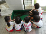 DSC00448.jpg