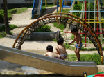 DSC01230.jpg