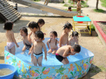 DSC01231.jpg