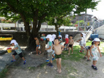 DSC01243.jpg