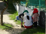 DSC01496.jpg