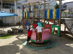 DSC01498.jpg