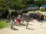 DSC01501.jpg