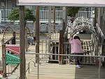IMG_1884.jpg