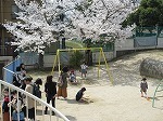 IMG_1886.jpg