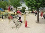 IMG_2110.jpg