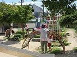 IMG_3193.jpg