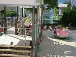 IMG_3197.jpg