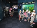 IMG_3689.jpg