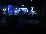 IMG_3692.jpg