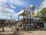 IMG_4766.jpg