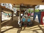 IMG_4767.jpg
