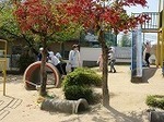 IMG_4898.jpg
