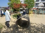 IMG_4900.jpg