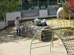 IMG_4906.jpg