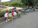 IMG_4954.jpg