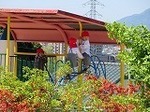 IMG_4994.jpg