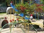 IMG_4995.jpg