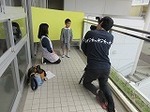 IMG_5002.jpg