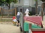 IMG_5054.jpg