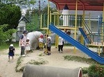 IMG_5057.jpg