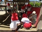 IMG_5060.jpg
