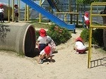 IMG_5066.jpg