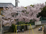 2017-04-10 09.56.36.jpg