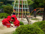 DSC00042.jpg