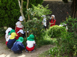 DSC00050.jpg