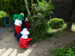 DSC00051.jpg