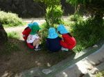 DSC00052.jpg