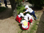 DSC00060.jpg