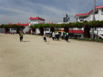 DSC00065.jpg
