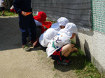 DSC00238.jpg
