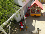 DSC00294.jpg