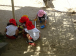 DSC00298.jpg