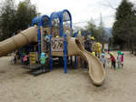 DSC09311.jpg