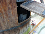 DSC09421.jpg