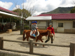 DSC09712.jpg