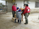 DSC09726.jpg