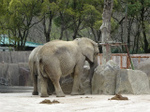 DSC09734.jpg